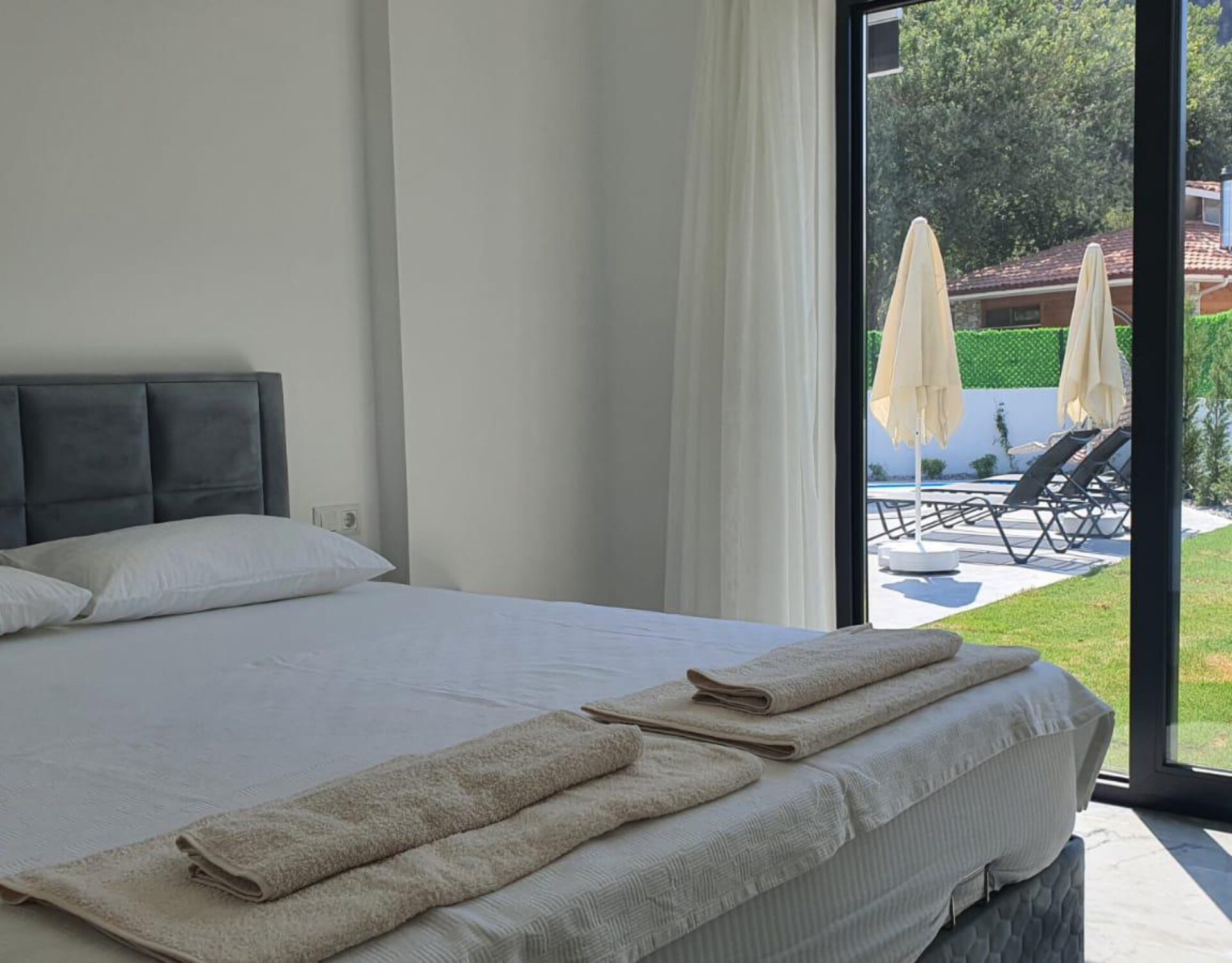 WhatsApp Image 2026-01-20 at 22.34.25 (1)