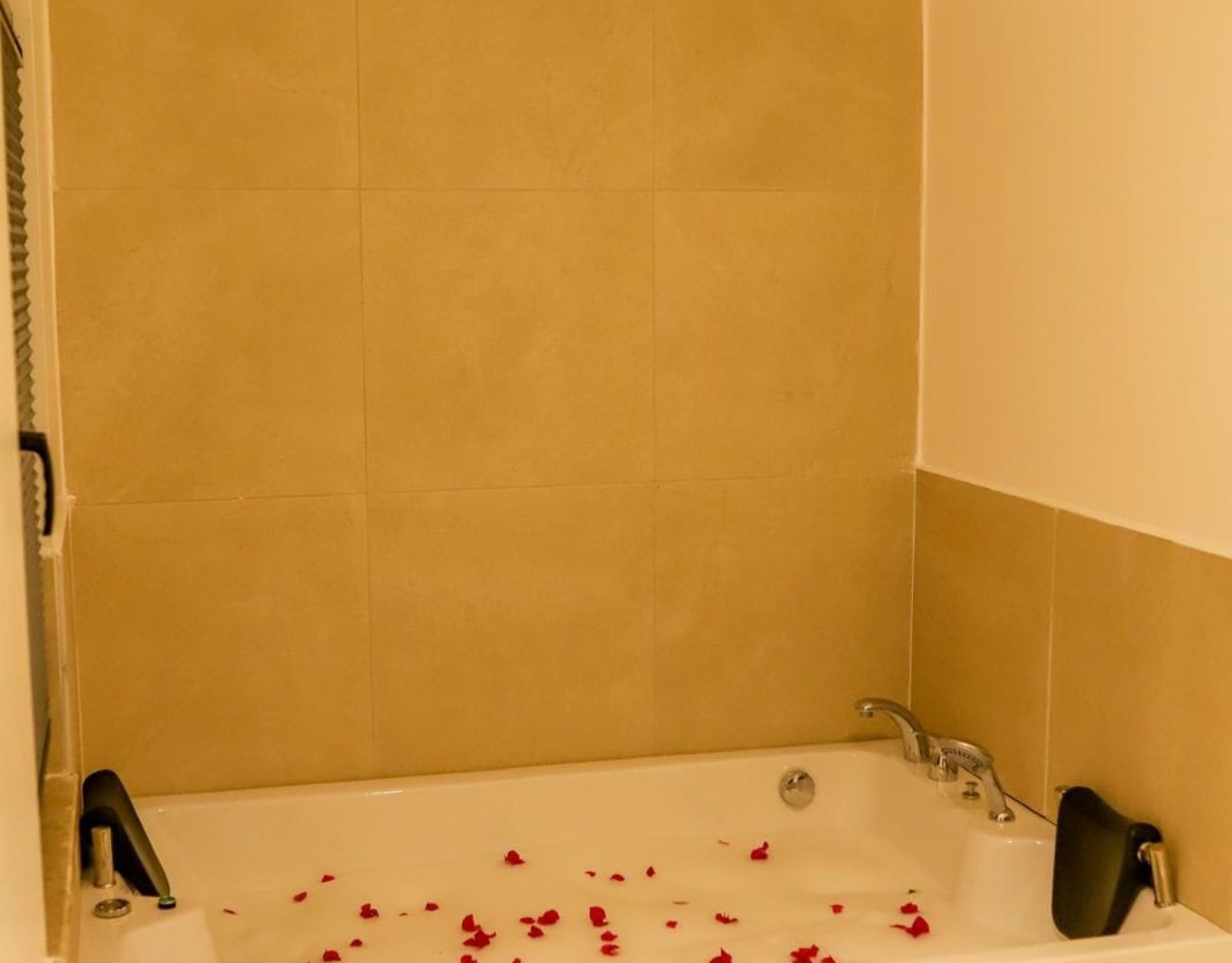 WhatsApp Image 2026-01-24 at 13.03.58 (3)