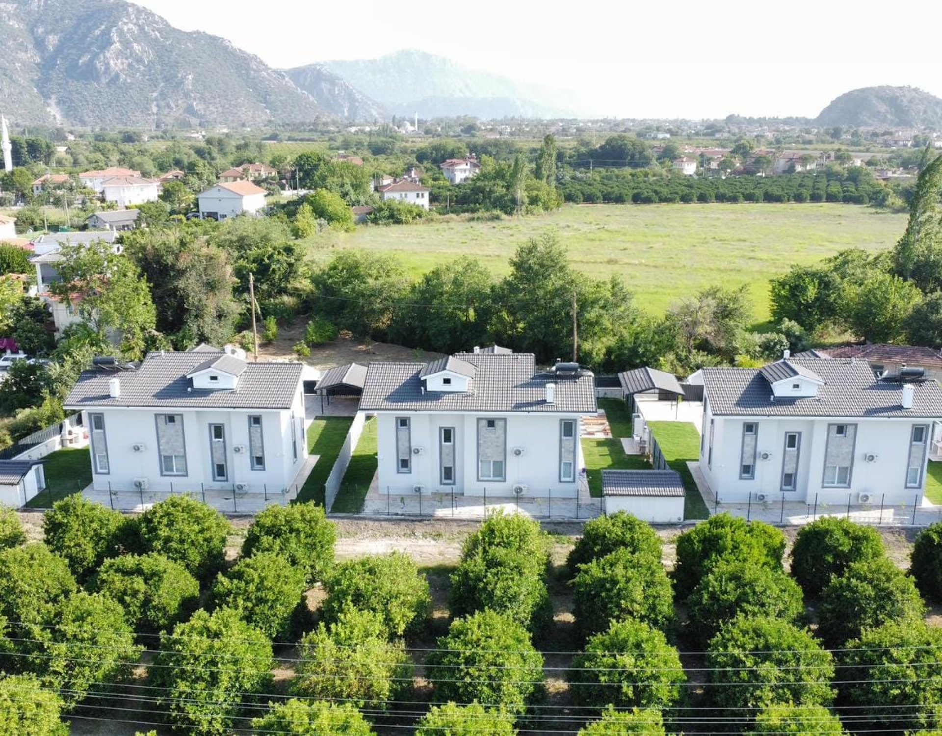 WhatsApp Image 2026-01-24 at 13.27.01 (1)